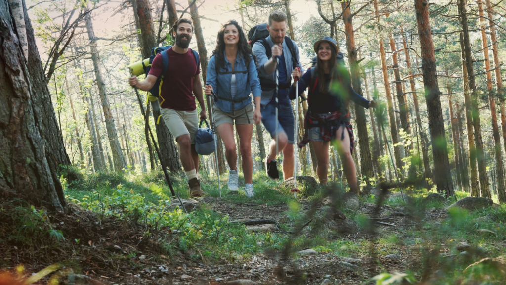 zespół przemierzający las podczas imprezy survivalowej